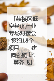 鼓楼区低空经济产业专场对接会签约18个项目——建圈强链 比翼齐飞