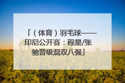 （体育）羽毛球——印尼公开赛：程星/张驰晋级混双八强