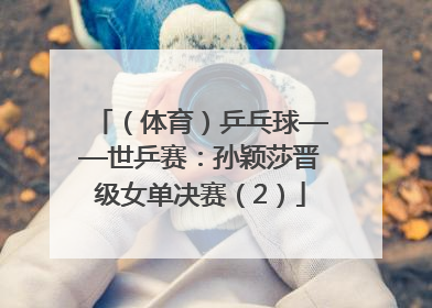 （体育）乒乓球——世乒赛：孙颖莎晋级女单决赛（2）