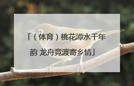 （体育）桃花潭水千年韵 龙舟竞渡寄乡情