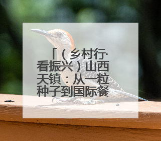（乡村行·看振兴）山西天镇：从一粒种子到国际餐桌 出口富农促乡村振兴