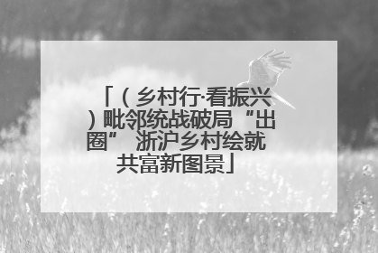 （乡村行·看振兴）毗邻统战破局“出圈” 浙沪乡村绘就共富新图景