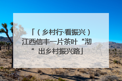 （乡村行·看振兴）江西信丰一片茶叶“沏”出乡村振兴路