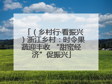 （乡村行·看振兴）浙江乡村：时令果蔬迎丰收 “甜蜜经济”促振兴