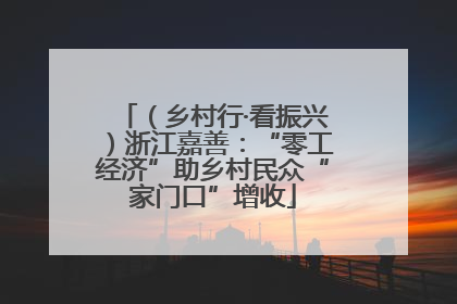 （乡村行·看振兴）浙江嘉善：“零工经济”助乡村民众“家门口”增收