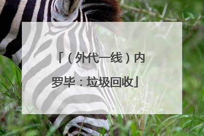 （外代一线）内罗毕：垃圾回收