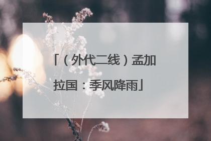 （外代二线）孟加拉国：季风降雨