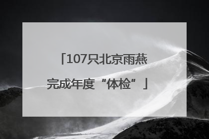 107只北京雨燕完成年度“体检”