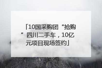 10国采购团“抢购”四川二手车，10亿元项目现场签约