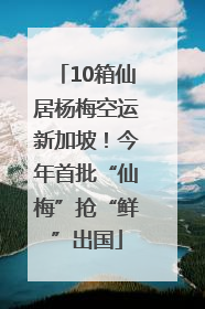 10箱仙居杨梅空运新加坡！今年首批“仙梅”抢“鲜”出国