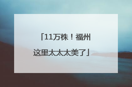 11万株！福州这里太太太美了