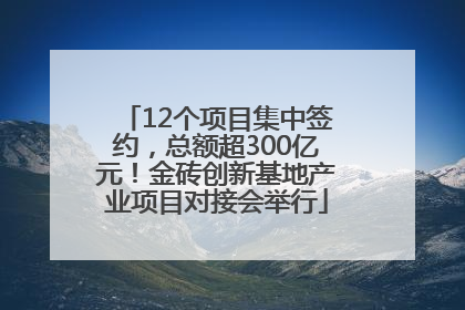 12个项目集中签约，总额超300亿元！金砖创新基地产业项目对接会举行