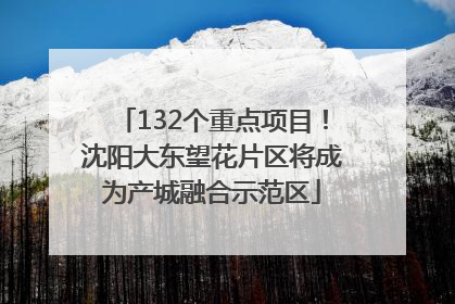 132个重点项目！沈阳大东望花片区将成为产城融合示范区