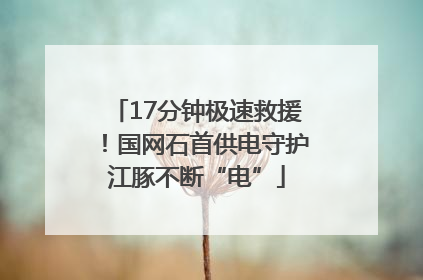 17分钟极速救援！国网石首供电守护江豚不断“电”