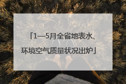 1—5月全省地表水、环境空气质量状况出炉