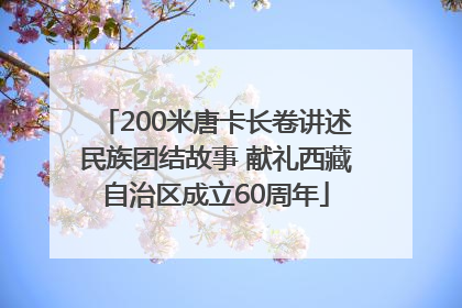 200米唐卡长卷讲述民族团结故事 献礼西藏自治区成立60周年