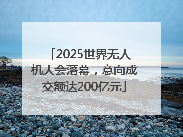 2025世界无人机大会落幕，意向成交额达200亿元