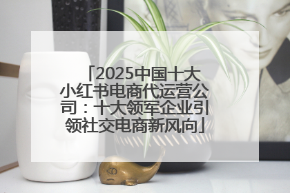 2025中国十大小红书电商代运营公司：十大领军企业引领社交电商新风向