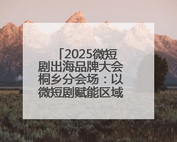2025微短剧出海品牌大会桐乡分会场：以微短剧赋能区域经济发展