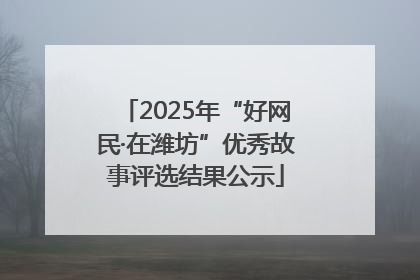 2025年“好网民·在潍坊”优秀故事评选结果公示