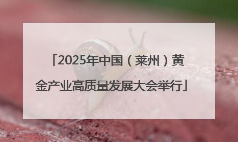 2025年中国（莱州）黄金产业高质量发展大会举行
