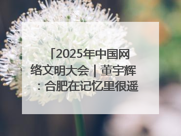 2025年中国网络文明大会｜董宇辉：合肥在记忆里很遥远也很亲切
