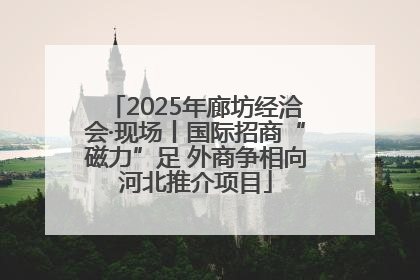 2025年廊坊经洽会·现场丨国际招商“磁力”足 外商争相向河北推介项目