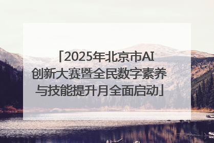 2025年北京市AI创新大赛暨全民数字素养与技能提升月全面启动