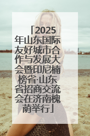 2025年山东国际友好城市合作与发展大会暨印尼楠榜省·山东省招商交流会在济南槐荫举行