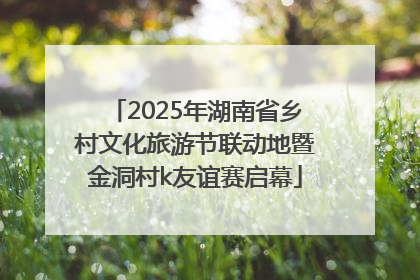 2025年湖南省乡村文化旅游节联动地暨金洞村k友谊赛启幕