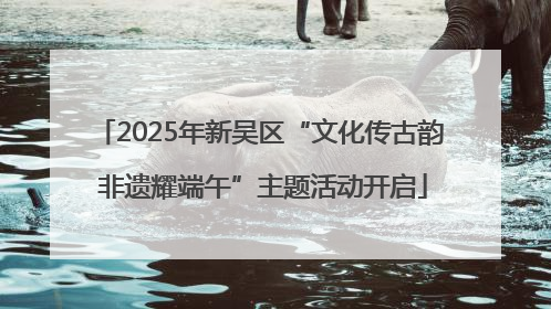 2025年新吴区“文化传古韵 非遗耀端午”主题活动开启