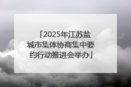 2025年江苏盐城市集体协商集中要约行动推进会举办
