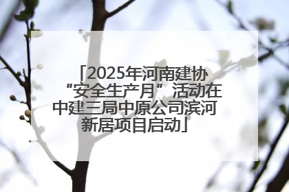 2025年河南建协“安全生产月”活动在中建三局中原公司滨河新居项目启动