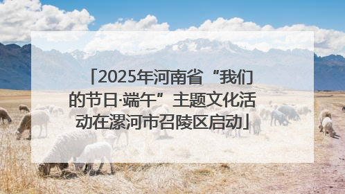2025年河南省“我们的节日·端午”主题文化活动在漯河市召陵区启动