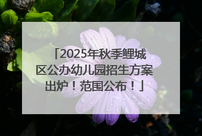 2025年秋季鲤城区公办幼儿园招生方案出炉！范围公布！