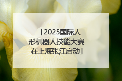 2025国际人形机器人技能大赛在上海张江启动