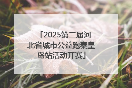 2025第二届河北省城市公益跑秦皇岛站活动开赛