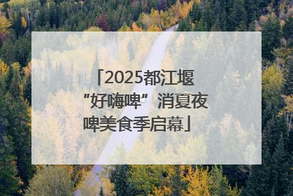 2025都江堰“好嗨啤”消夏夜啤美食季启幕