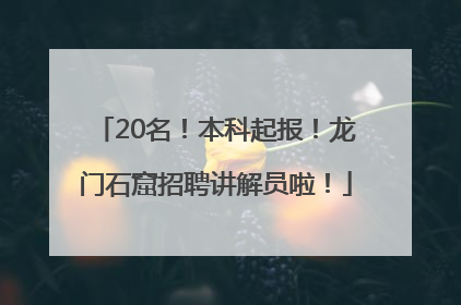 20名！本科起报！龙门石窟招聘讲解员啦！