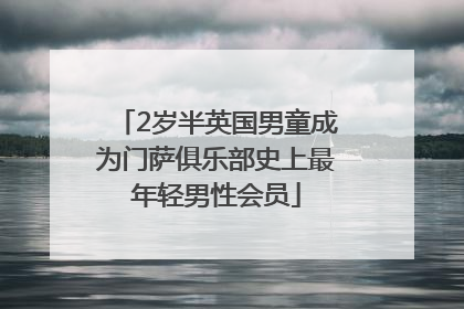2岁半英国男童成为门萨俱乐部史上最年轻男性会员