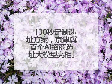 30秒定制选址方案，京津冀首个AI招商选址大模型亮相