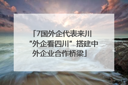 7国外企代表来川 “外企看四川”搭建中外企业合作桥梁