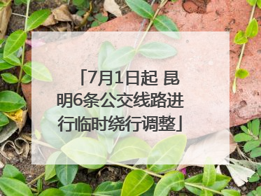 7月1日起 昆明6条公交线路进行临时绕行调整