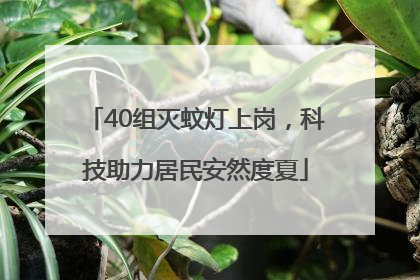 40组灭蚊灯上岗，科技助力居民安然度夏