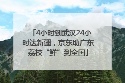 4小时到武汉24小时达新疆，京东助广东荔枝“鲜”到全国