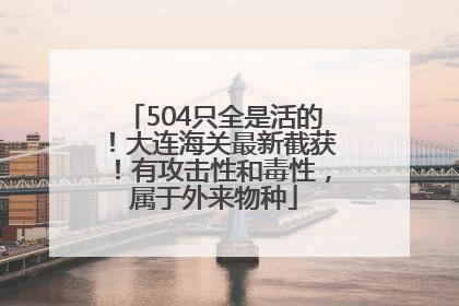 504只全是活的！大连海关最新截获！有攻击性和毒性，属于外来物种