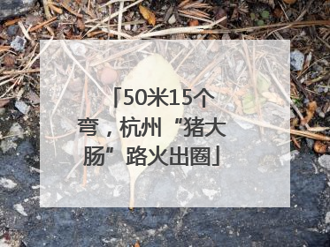 50米15个弯，杭州“猪大肠”路火出圈