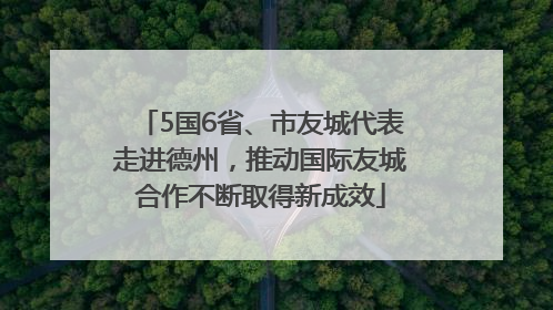 5国6省、市友城代表走进德州，推动国际友城合作不断取得新成效