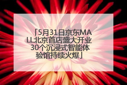 5月31日京东MALL北京首店盛大开业 30个沉浸式智能体验馆持续火爆
