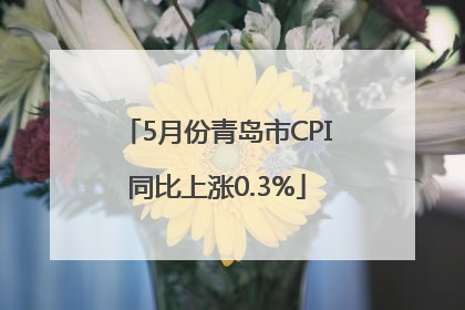 5月份青岛市CPI同比上涨0.3%